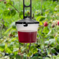 Kirschessigfliegen-Falle DrosalPro