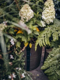 Pflanztasche "Classic" - Geotextil, 10 L -Gruenraumz Verkäufe bacsac pflanztasche classic geotextil 1681150 de