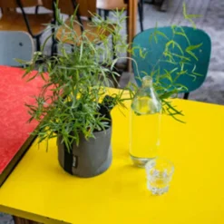 Pflanztasche "Colour" - 10 Liter, Ingwer -Gruenraumz Verkäufe bacsac pflanztasche colour 10 liter 1681162 de