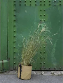 Pflanztasche "Colour" - 10 Liter, Ingwer -Gruenraumz Verkäufe bacsac pflanztasche colour 10 liter ingefaera 1681167 de