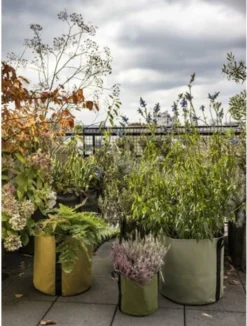 Pflanztasche "Colour" - 25 Liter, Limette 9 Pflanztasche "Colour" - 25 Liter, Limette -Gruenraumz Verkäufe bacsac pflanztasche colour 25 liter 1681188 de