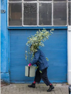 Pflanztasche "Colour" - 25 Liter, Limette