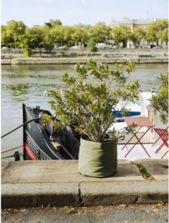 Pflanztasche "Colour" - 50 Liter, Limette -Gruenraumz Verkäufe bacsac pflanztasche colour 50 liter 1681196 de