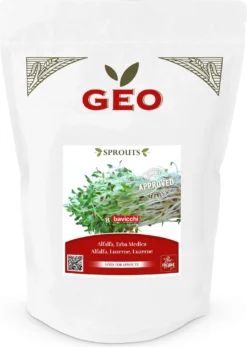 Bio Keimsprossen "Luzerne - Alfalfa", 500 G