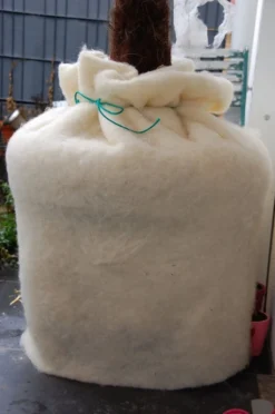 Bio-Schafwoll-Vlies, Ca. 200 X 150 Cm -Gruenraumz Verkäufe biowol bio schafwoll vlies 1675842 de