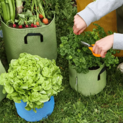 Pflanztasche Aus Geotextil ∅ 20 Cm, Grün -Gruenraumz Verkäufe bourgeon pflanztasche aus geotextil 20 cm blau 1696013 de