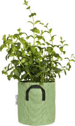 Pflanztasche Aus Geotextil ∅ 20 Cm, Grün -Gruenraumz Verkäufe bourgeon pflanztasche aus geotextil 20 cm gruen 1696244 de