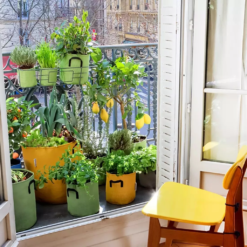 Pflanztasche Aus Geotextil ∅ 30 Cm, Grün -Gruenraumz Verkäufe bourgeon pflanztasche aus geotextil 30 cm blau 1695957 de