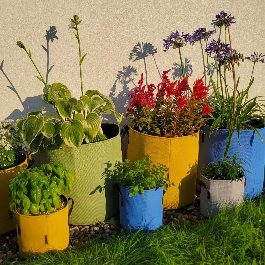 Pflanztasche Aus Geotextil ∅ 40 Cm, Grün 5 Pflanztasche Aus Geotextil ∅ 40 Cm, Grün – Bild 5