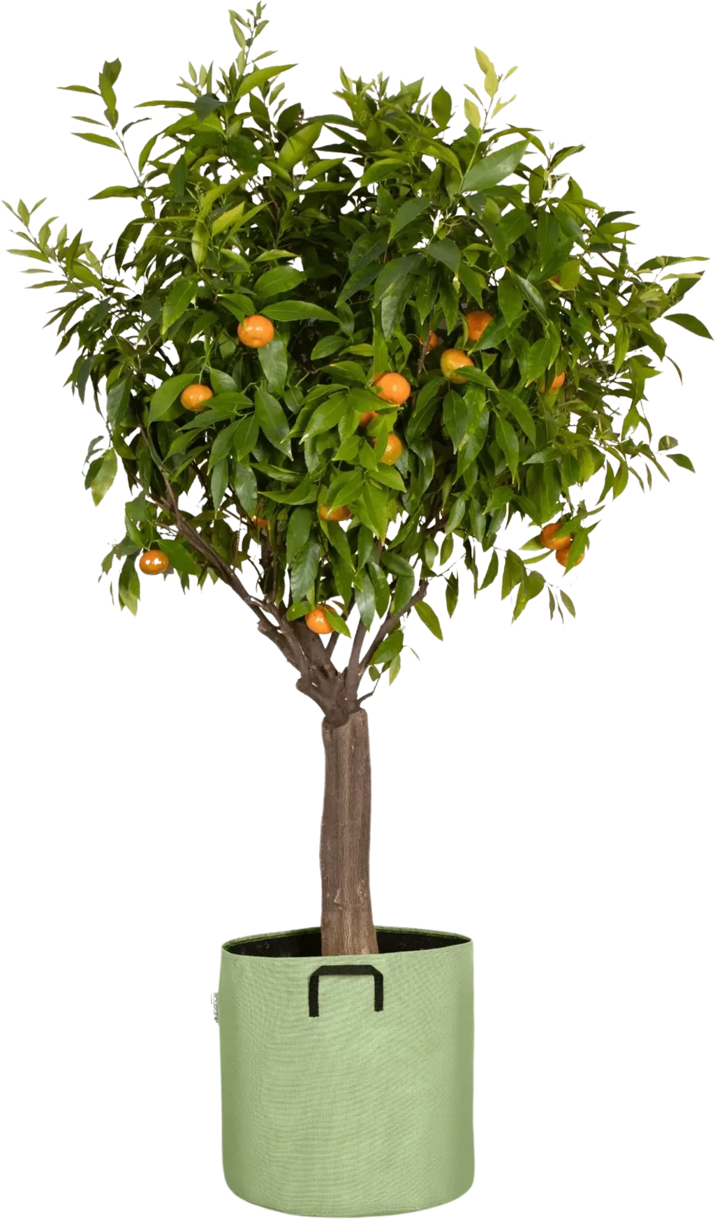 Pflanztasche Aus Geotextil ∅ 40 Cm, Grün 2 Pflanztasche Aus Geotextil ∅ 40 Cm, Grün – Bild 2