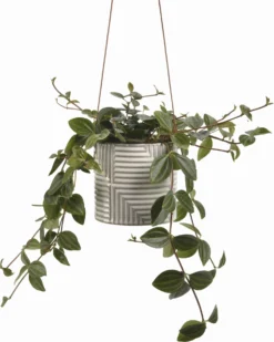 Hängetopf "Modena" -Gruenraumz Verkäufe burgon ball haengetopf modena 1 stk 861217 de