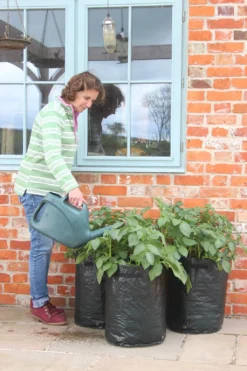 Kartoffelpflanztaschen Im 3er Set, 3 Stück -Gruenraumz Verkäufe haxnicks kartoffelpflanztaschen im 3er set 3 st 1666020 de