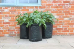 Kartoffelpflanztaschen Im 3er Set, 3 Stück