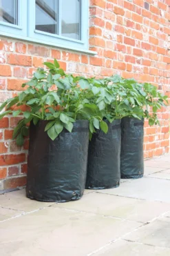Kartoffelpflanztaschen Im 3er Set, 3 Stück -Gruenraumz Verkäufe haxnicks kartoffelpflanztaschen im 3er set 3 st 1666022 de