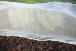 Micromesh Prepack -Gruenraumz Verkäufe haxnicks micromesh prepack 1 st 1666096 de