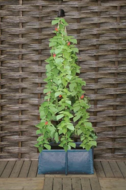 Pflanztasche Für Erbsen & Bohnen -Gruenraumz Verkäufe haxnicks pflanztasche fuer erbsen bohnen 1 st 1666027 de