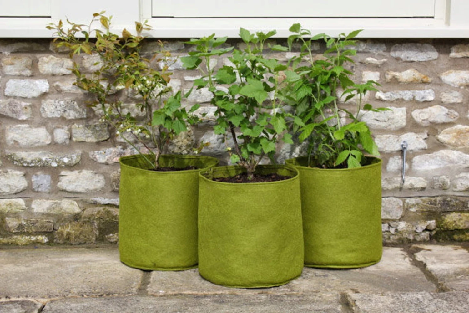 Vigoroot Pflanztaschen Im 3er Set, 5 L (3 Stück) 2 Vigoroot Pflanztaschen Im 3er Set, 5 L (3 Stück) – Bild 2