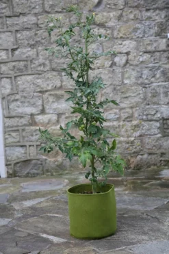 Vigoroot Pflanztaschen Im 3er Set, 5 L (3 Stück)