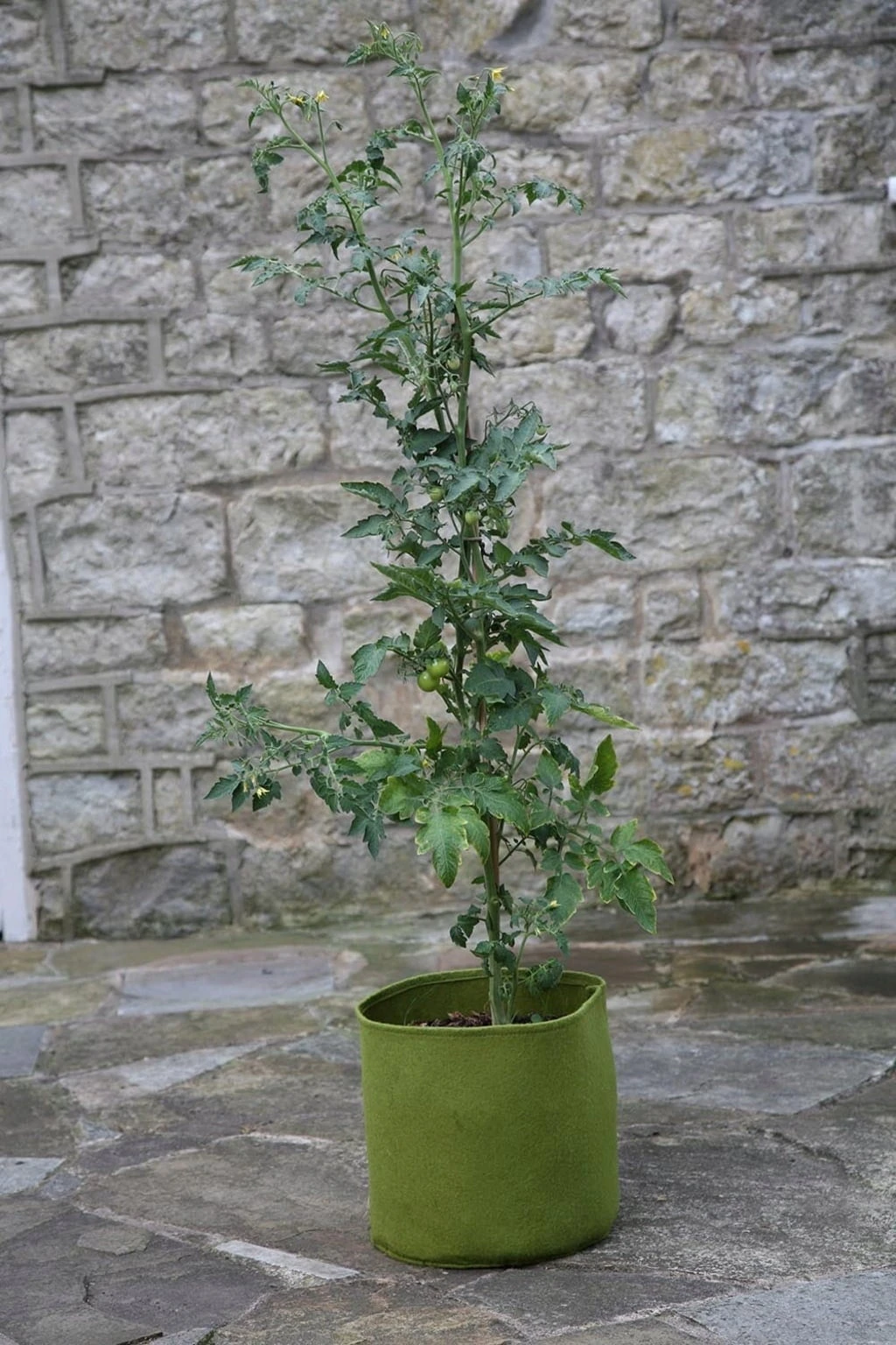 Vigoroot Pflanztaschen Im 3er Set, 5 L (3 Stück) 1 Vigoroot Pflanztaschen Im 3er Set, 5 L (3 Stück)