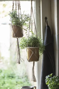 Hänger Für Blumentopf -Gruenraumz Verkäufe ib laursen haenger fuer blumentopf 1681811 de