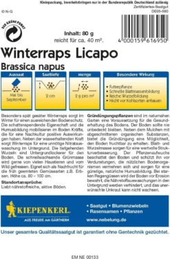 Winterraps "Licapo"