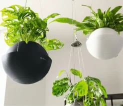 LECHUZA Blumenampel BOLA Color 23, Schiefergrau -Gruenraumz Verkäufe lechuza blumenampel bola color 23 1190201 de