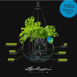 LECHUZA Blumenampel BOLA Color 23, Schiefergrau -Gruenraumz Verkäufe lechuza blumenampel bola color 23 1190215 de