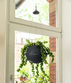 LECHUZA Blumenampel BOLA Color 23, Schiefergrau -Gruenraumz Verkäufe lechuza blumenampel bola color 23 schiefergrau 1190278 de