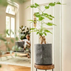 LECHUZA Pflanzgefäß TRENDCOVER "Filz" 23, Dark Grey -Gruenraumz Verkäufe lechuza komplett set trendcover filz 23 dark grey 1168518 de