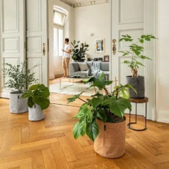 LECHUZA Pflanzgefäß TRENDCOVER "Kork" 32, Dark Natural 8 LECHUZA Pflanzgefäß TRENDCOVER "Kork" 32, Dark Natural -Gruenraumz Verkäufe lechuza pflanzgefaess trendcover kork 32 1677489 de