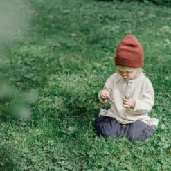 CleanPlay, 3 Kg -Gruenraumz Verkäufe lithos natural cleanplay 1665432 de