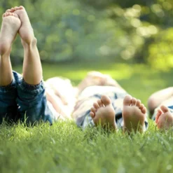 CleanPlay, 3 Kg -Gruenraumz Verkäufe lithos natural cleanplay 1665434 de