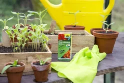 Spruzit Trauermückenfrei, 30 Ml - Reg. Nr. 2699-915 -Gruenraumz Verkäufe neudorff spruzit trauermueckenfrei 30 ml 879844 de