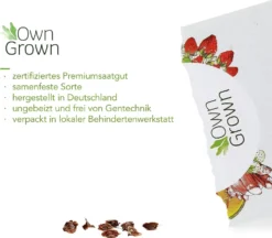 Saatgut "Rhabarber" -Gruenraumz Verkäufe own grown saatgut rhabarber 1525849 de