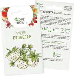 Saatgut "Weiße Erdbeere"