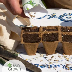 Saatgut "Weiße Erdbeere" -Gruenraumz Verkäufe own grown saatgut weisse erdbeere 1525961 de