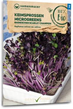 Bio Keimsprossen/Microgreens - Radieschen "Scarlet Champion"