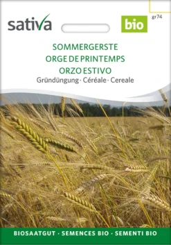 Bio Getreide "Sommergerste" -Gruenraumz Verkäufe sativa bio getreide sommergerste 1672151 de