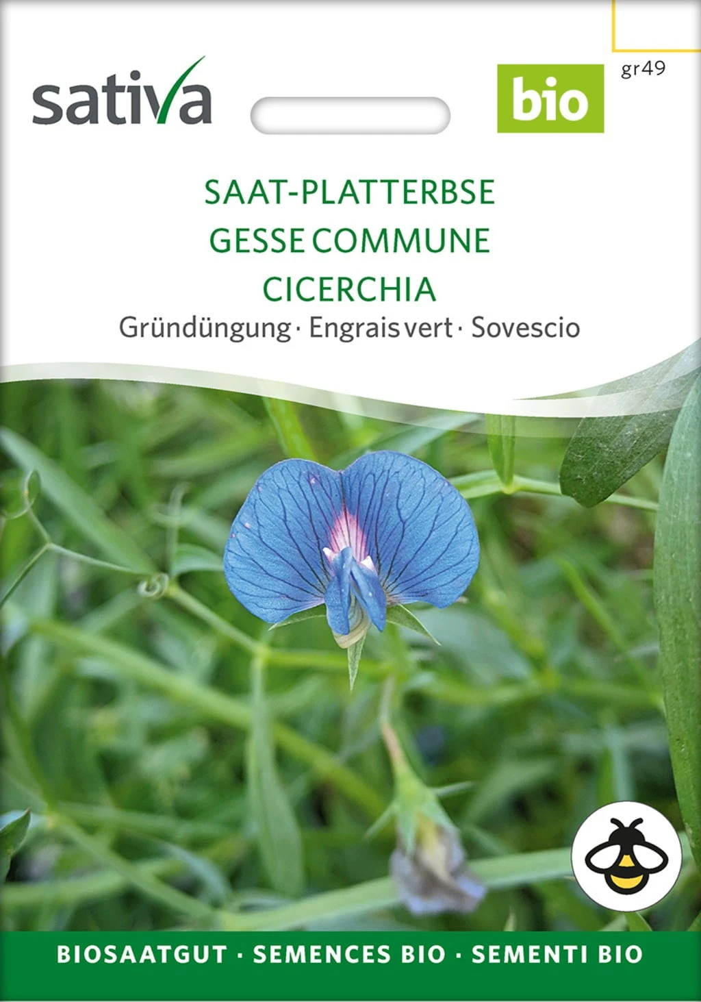 Bio Gründüngung "Saat-Platterbse" 2 Bio Gründüngung "Saat-Platterbse" – Bild 2