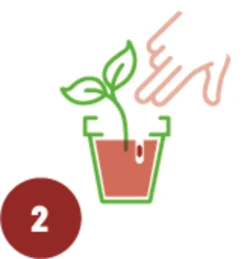 Trauermücken Pflanzenkur, 12 Stück -Gruenraumz Verkäufe substral naturen trauermuecken pflanzenkur 1684248 de