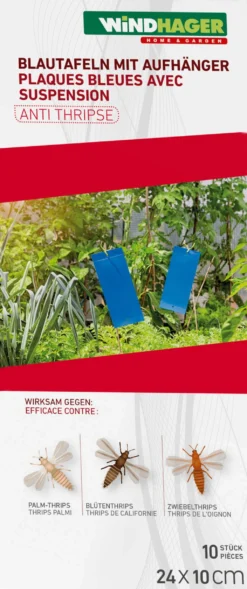Windhager Blautafeln Mit Aufhänger, 10 Stück