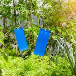 Windhager Blautafeln Mit Aufhänger, 10 Stück -Gruenraumz Verkäufe windhager blautafeln mit aufhaenger 10 stueck 1317167 de