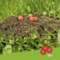 Windhager Maulwurfabwehr Kugeln 50 Stk., 50 Stück -Gruenraumz Verkäufe windhager maulwurfabwehr kugeln 50 stk 50 stueck 659573 de