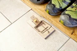 Windhager Rattenfalle PEFC-Holz -Gruenraumz Verkäufe windhager rattenfalle pefc holz 1 stk 659293 de