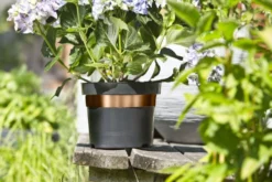 Windhager Schnecken Abwehrband "Kupfer" -Gruenraumz Verkäufe windhager schnecken abwehrband kupfer 1 st 1667512 de