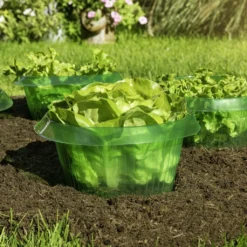 Windhager Schnecken-Schutzring, 6 Stück -Gruenraumz Verkäufe windhager schnecken schutzring 6 k 1209275 de