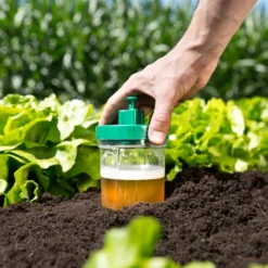 Windhager Schneckenfallen Duo, 2 Stück 8 Windhager Schneckenfallen Duo, 2 Stück -Gruenraumz Verkäufe windhager schneckenfallen duo 2 k 958854 de