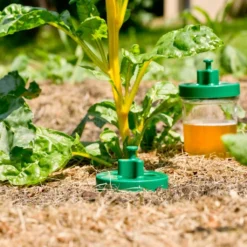 Windhager Schneckenfallen Duo, 2 Stück 7 Windhager Schneckenfallen Duo, 2 Stück -Gruenraumz Verkäufe windhager schneckenfallen duo 2 k 958868 de