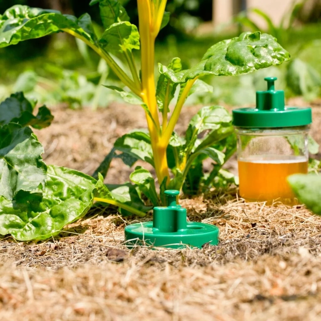 Windhager Schneckenfallen Duo, 2 Stück 3 Windhager Schneckenfallen Duo, 2 Stück – Bild 3