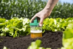 Windhager Schneckenfallen Duo, 2 Stück 6 Windhager Schneckenfallen Duo, 2 Stück -Gruenraumz Verkäufe windhager schneckenfallen duo 2 st 1667507 de